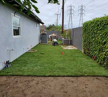 New Lawn Installation